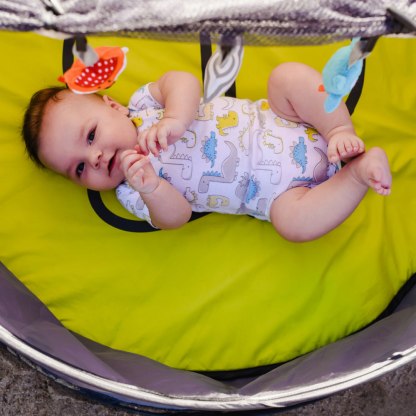 Image of Bbluv Nidö - 2 in 1 Travel & Play Tent