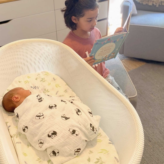 BedVoyage Panda Baby Swaddle Multi 2-pk Stroller Nursing Cover